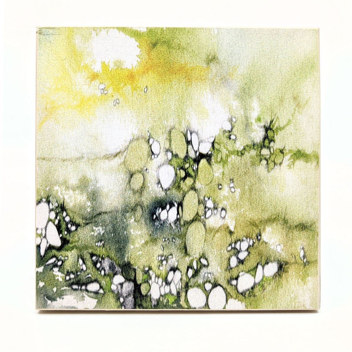 Sondra Dorn - Archival Prints on Birch Panel - Style 30 - VISUAL INDEX