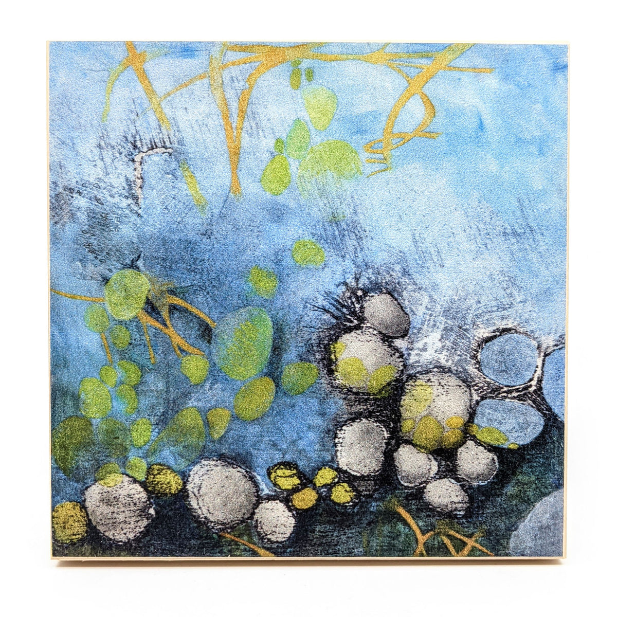 Sondra Dorn - Archival Prints on Birch Panel - Style 32 - VISUAL INDEX