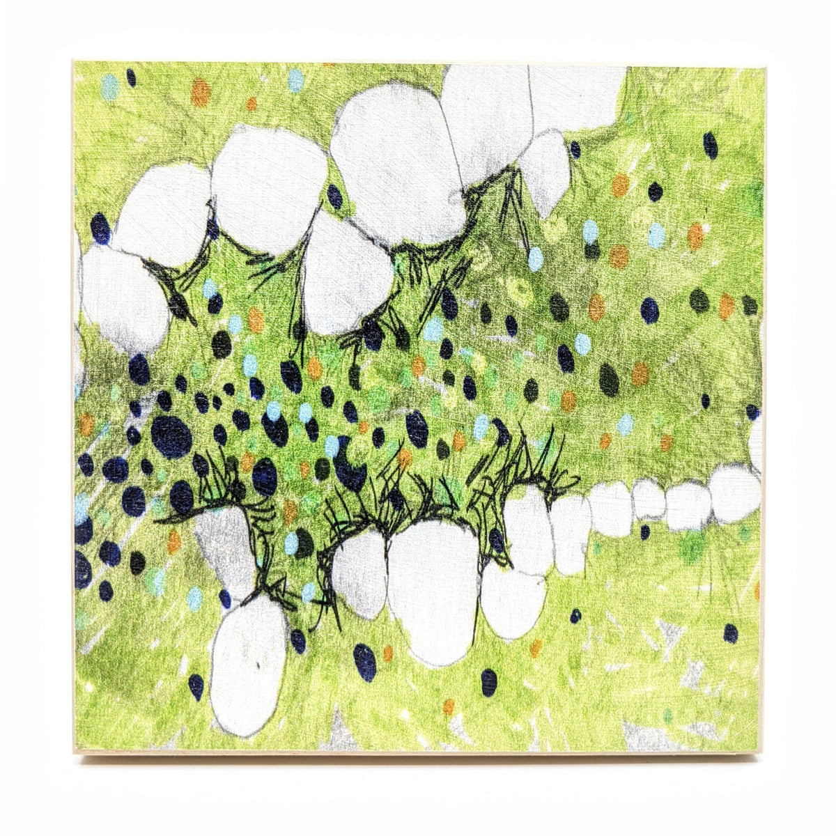 Sondra Dorn - Archival Prints on Birch Panel - Style 34 - VISUAL INDEX