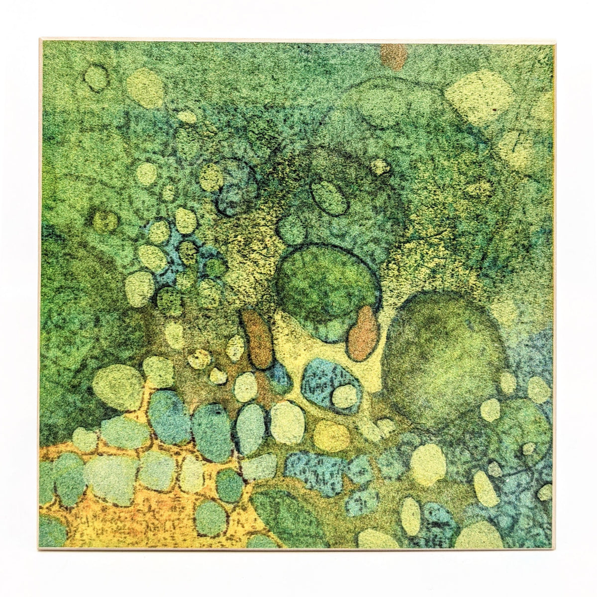 Sondra Dorn - Archival Prints on Birch Panel - Style 37 - VISUAL INDEX