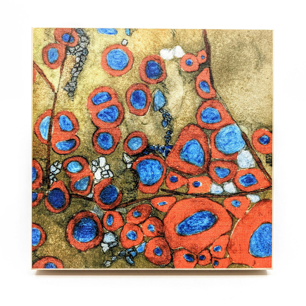 Sondra Dorn - Archival Prints on Birch Panel - Style 4 - VISUAL INDEX