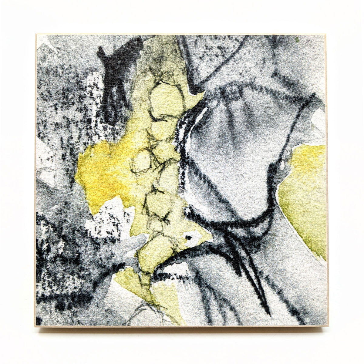 Sondra Dorn - Archival Prints on Birch Panel - Style 6 - VISUAL INDEX
