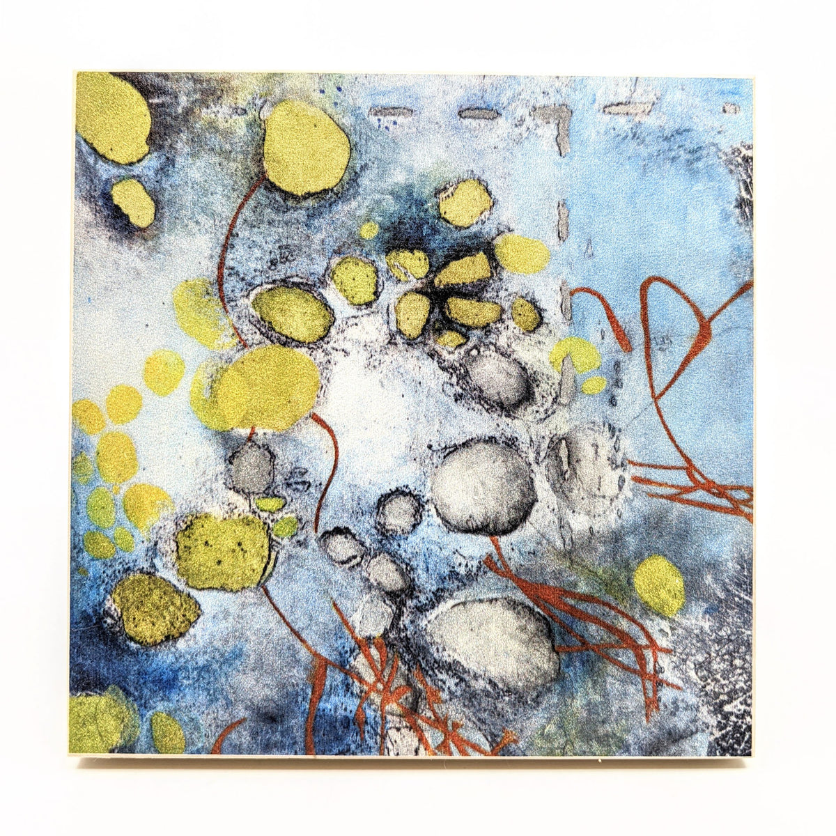 Sondra Dorn - Archival Prints on Birch Panel - Style 9 - VISUAL INDEX