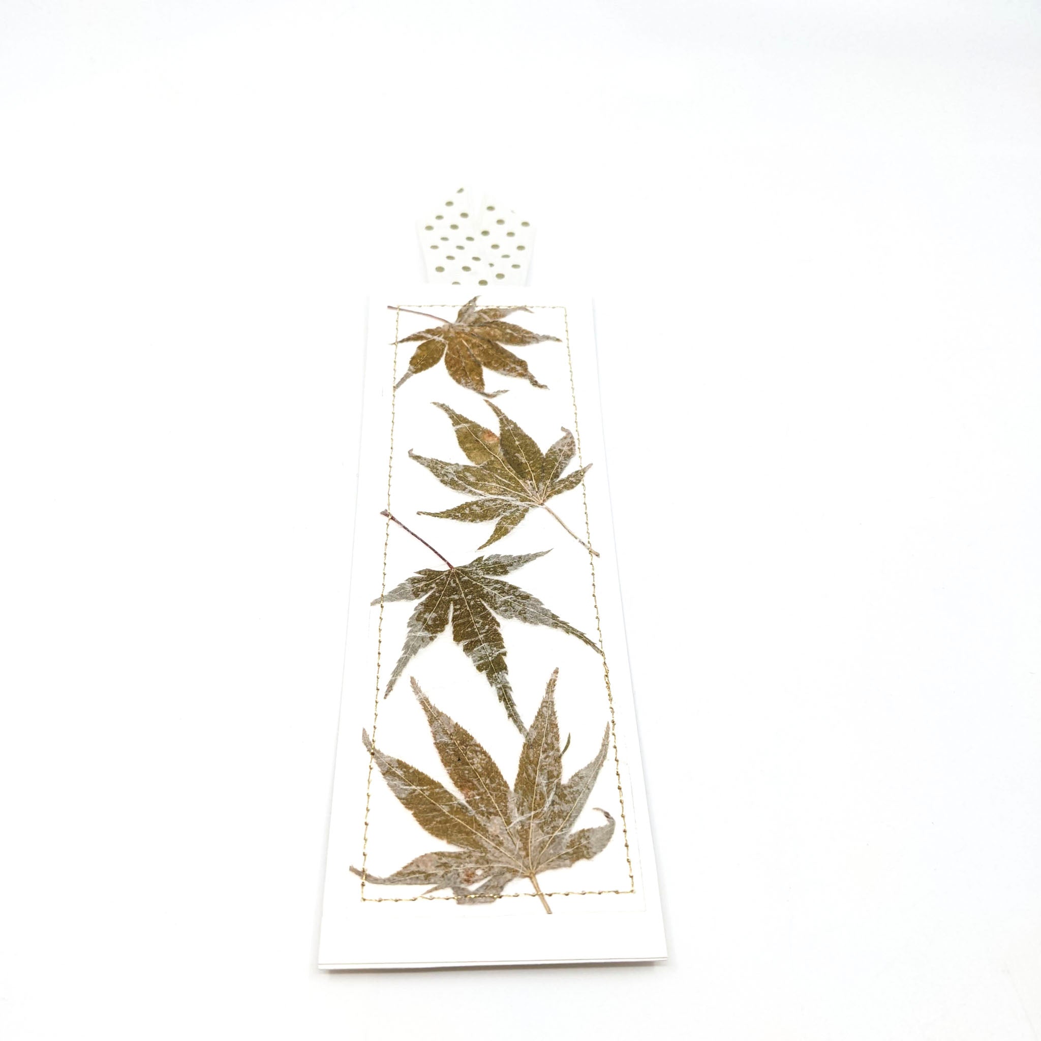 Pressed Botanical Bookmarks