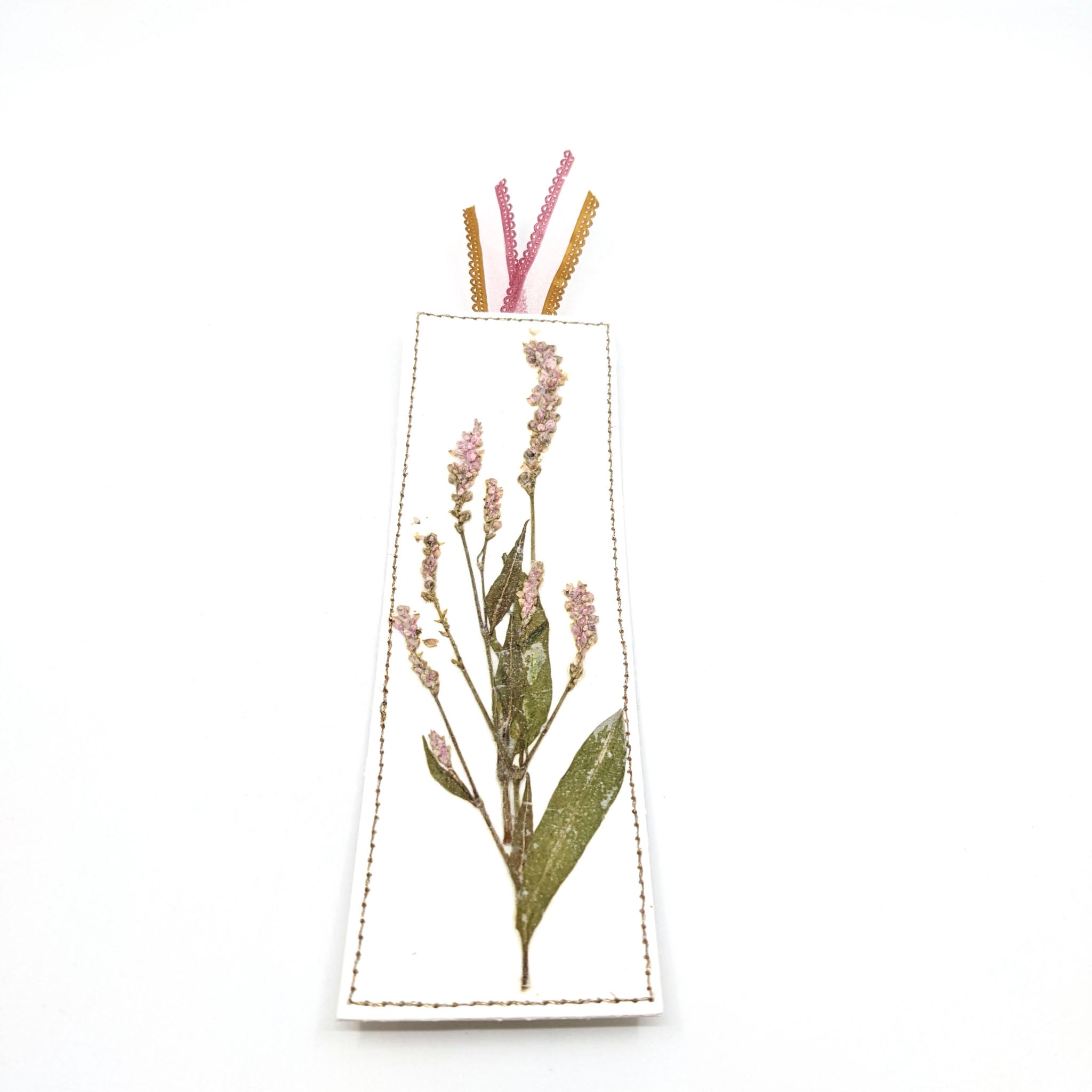 Pressed Botanical Bookmarks