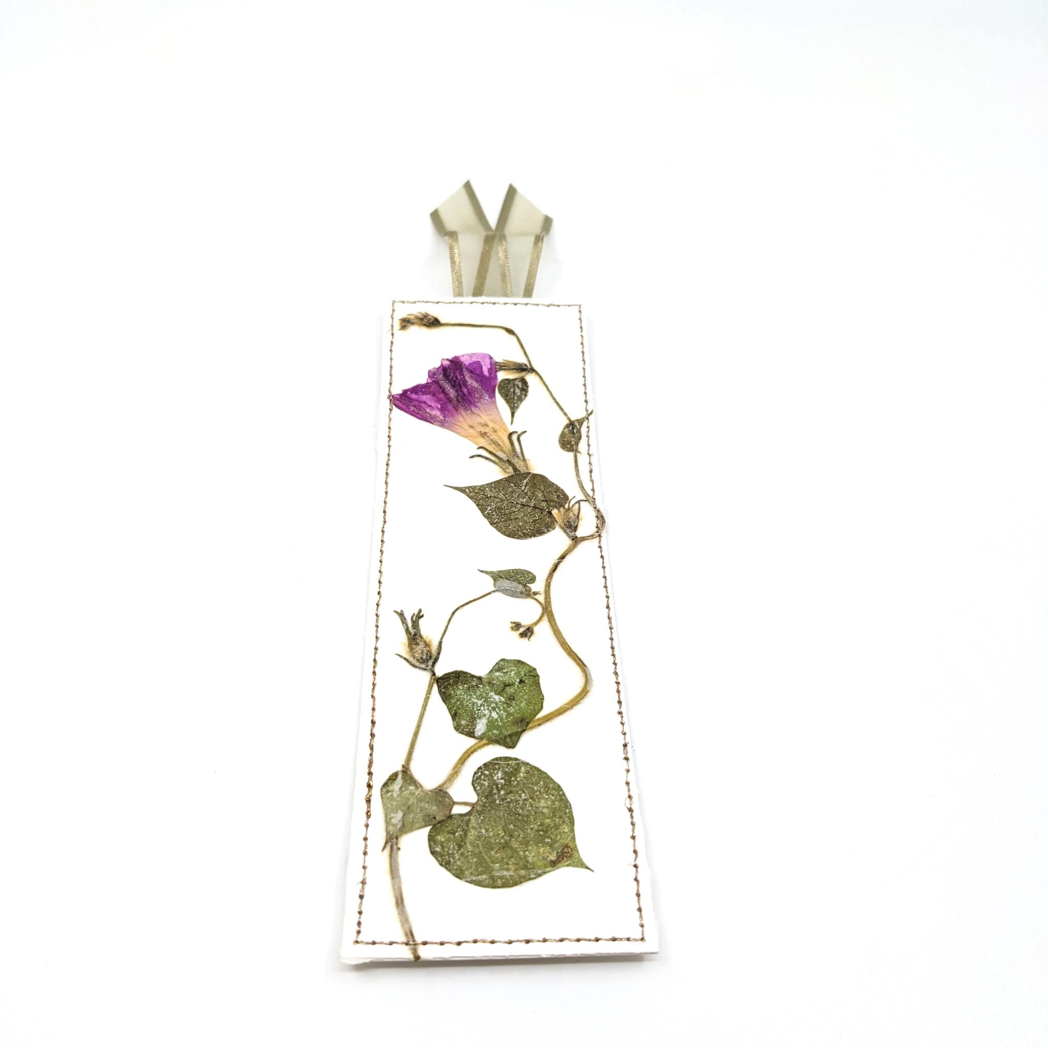 Pressed Botanical Bookmarks