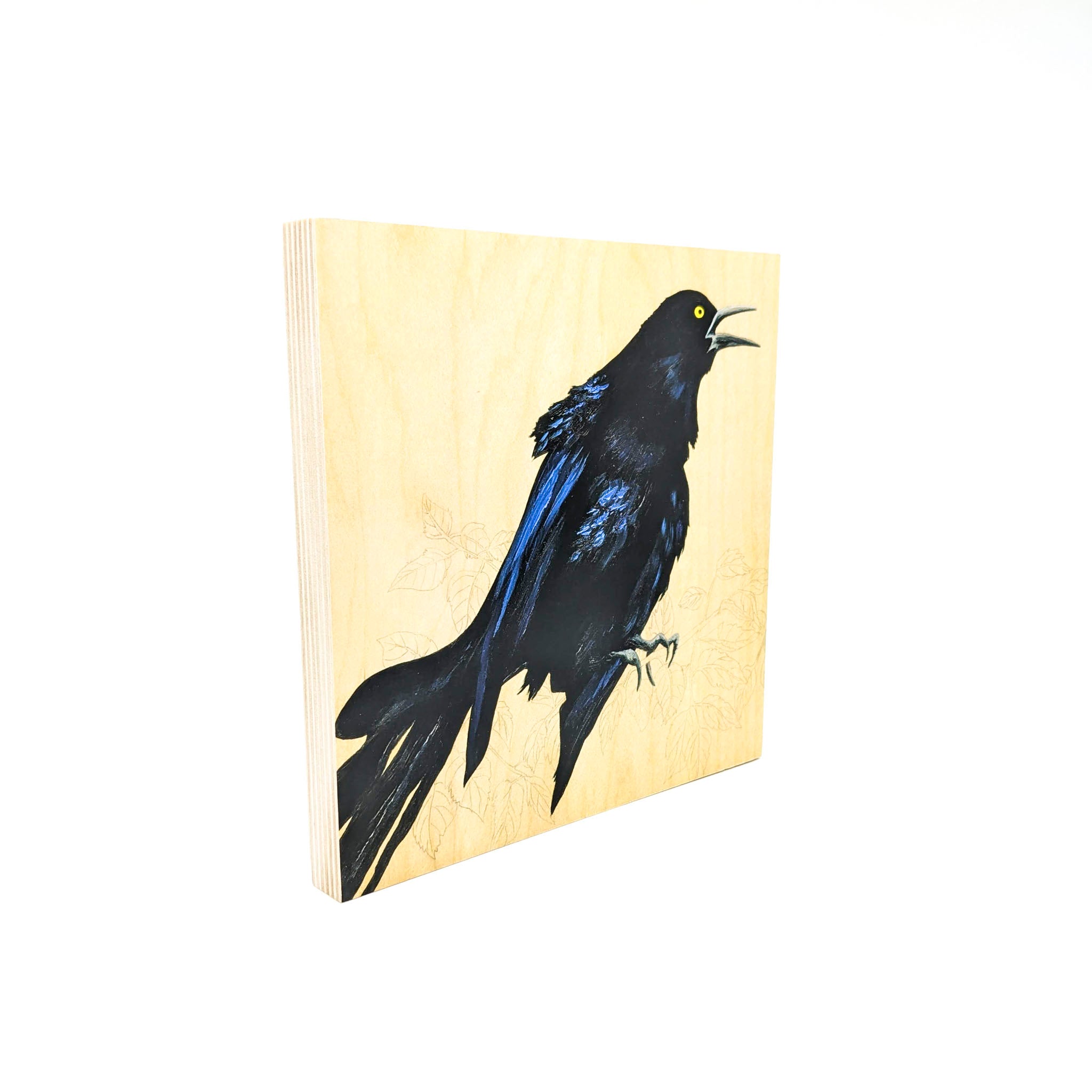 Grackles