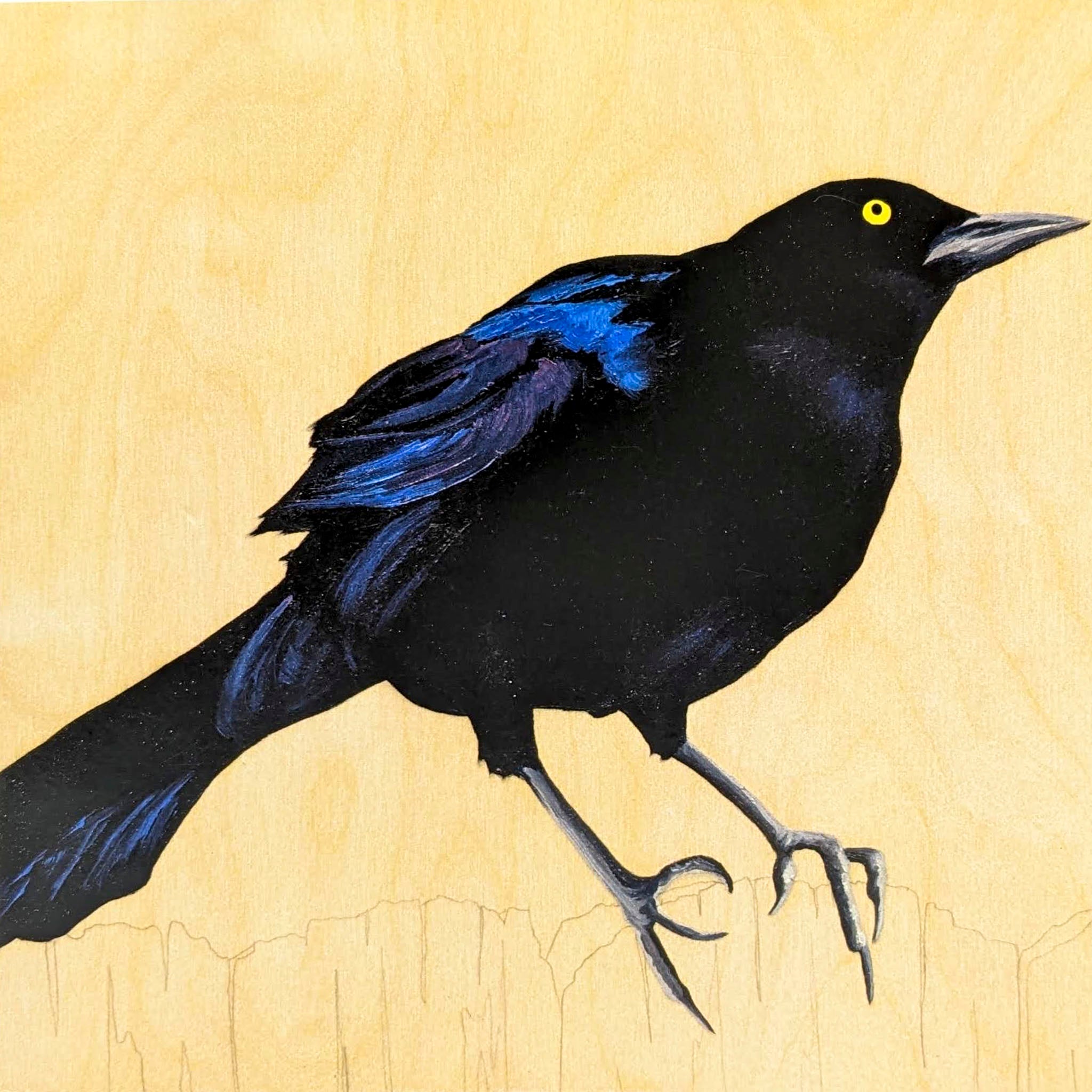 Grackles