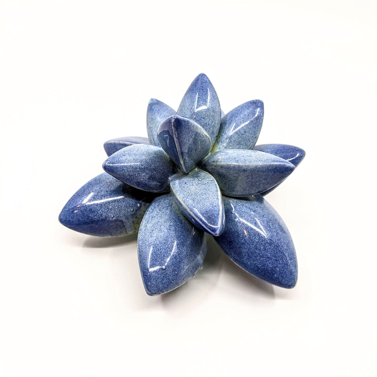 April Cannon - Mini Wallflower - Dark Blue - VISUAL INDEX