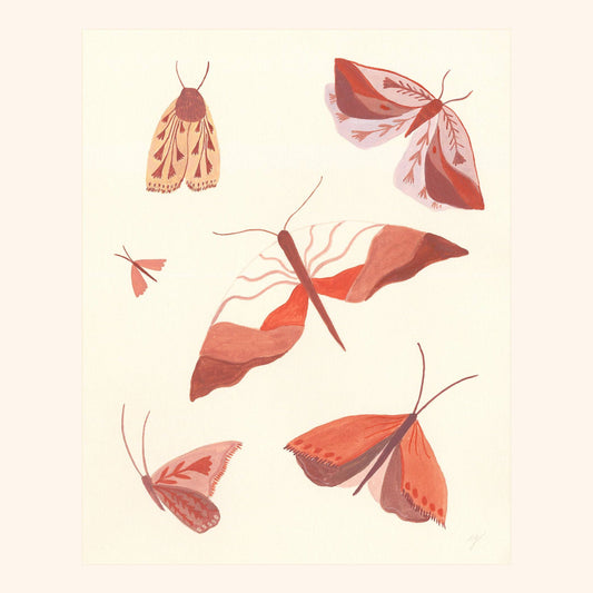 Moth Study- Print
