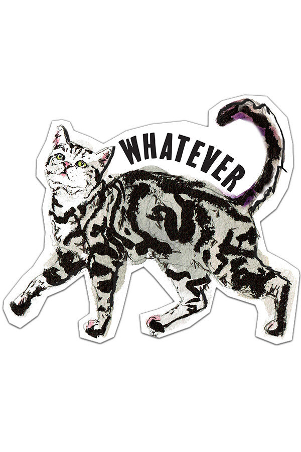 Whatever Cat- Sticker